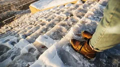 Nicht Salz und nicht Sand: Womit man Wege bei Glatteis am besten streut