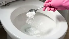 Verstopfungen im WC sind im Nu weg: Ein einfacher Trick ohne teure Chemie