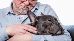 Ruhig und treu: 5 Hunderassen, die die Herzen älterer Menschen erwärmen