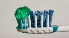 Nicht nur zur Schönheit: Wozu die farbigen Borsten auf Zahnbürsten wirklich dienen