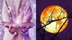 Mondkalender für Januar 2026: Diese 8 Tage werden die glücklichsten sein