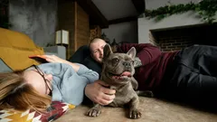 Von der Nasenspitze bis zur Schwanzspitze: So verstehen Sie die Körpersprache Ihres Hundes