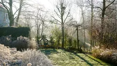 Sollten Sie Ihren Rasen im Winter wässern? Expertenantworten