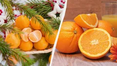 Clementinen vs. Orangen: Ernährungsfachleute erklären, welche Frucht gesünder ist