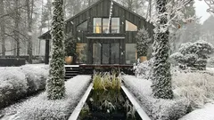 Wie man Gartenpflanzen vor Winterbrand schützt – Tipps vom Gärtner