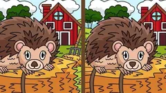 Rätsel: Finden Sie in 25 Sekunden 3 Unterschiede im Bild mit dem Igel?