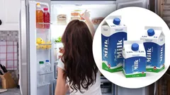 Nur ein Platz im Kühlschrank: Wohin Milch umstellen, damit sie nicht sauer wird