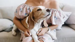 Hunde lieben komplizierter, als es scheint: Anzeichen, die mehr sagen als tausend Worte