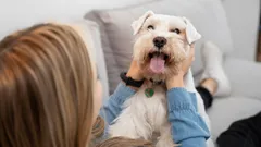 Dein Hund wartet darauf, dass du das sagst: 8 Wörter, die ihn zum Glücksbündel machen