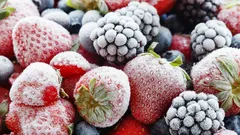 Tiefgekühltes vs. frisches Obst: Was enthält mehr Nährstoffe und bleibt budgetfreundlich?