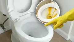 Kalk im WC verschwindet spurlos: Werfen Sie die Tablette hinein, die jeder zu Hause hat