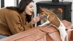 Warum es nötig ist, den Hund zu streicheln, bevor man das Haus verlässt