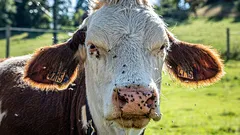 Die Erde ist unser Zuhause: 5 ökologische Fehler, die wir jeden Tag machen